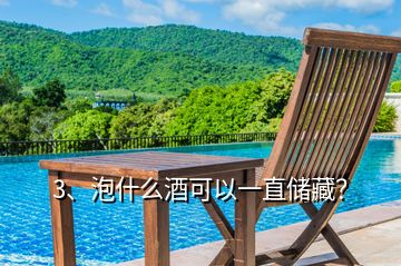 3、泡什么酒可以一直儲藏？