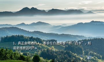 1、真正會喝酒的人，都會在白酒旁放一杯“白水”，知道是啥原因嗎？