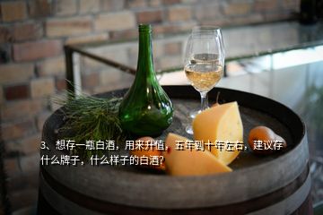 3、想存一瓶白酒，用來升值，五年到十年左右，建議存什么牌子，什么樣子的白酒？