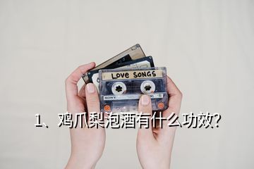1、雞爪梨泡酒有什么功效？