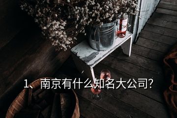 1、南京有什么知名大公司？