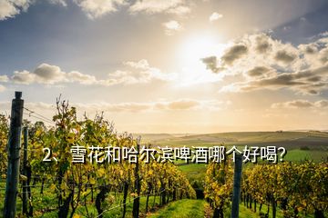 2、雪花和哈爾濱啤酒哪個好喝？