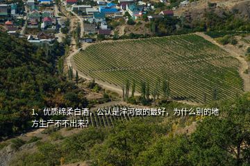 1、優質綿柔白酒，公認是洋河做的最好，為什么別的地方生產不不出來？