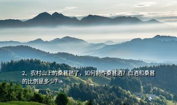 2、農(nóng)村山上的桑葚熟了，如何制作桑葚酒？白酒和桑葚的比例是多少？