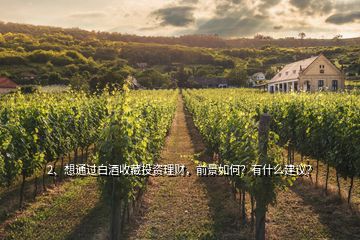 2、想通過白酒收藏投資理財，前景如何？有什么建議？