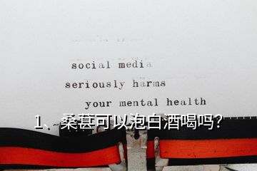 1、桑葚可以泡白酒喝嗎？
