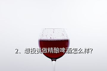 2、想投資做精釀啤酒怎么樣？