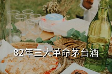 82年三大革命茅臺酒