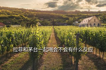 拉菲和茅臺一起喝會不會有什么反應