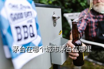 茅臺在哪個城市茅臺在哪里