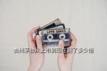 貴州茅臺從上市到現在翻了多少倍