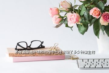 茅臺酒釀造環境和過程中已經發現了多少種微生物