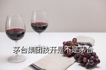 茅臺集團技開是不是茅臺