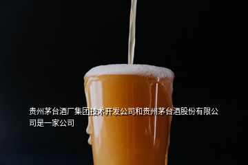 貴州茅臺酒廠集團技術開發公司和貴州茅臺酒股份有限公司是一家公司