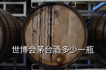 世博會(huì)茅臺(tái)酒多少一瓶