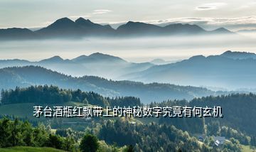 茅臺酒瓶紅飄帶上的神秘數字究竟有何玄機