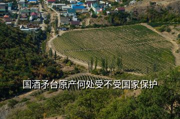 國酒矛臺原產何處受不受國家保護