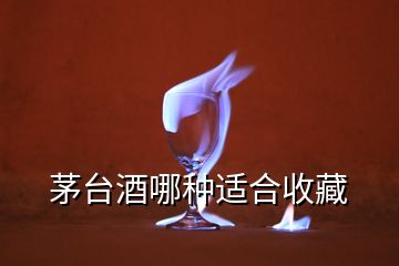 茅臺酒哪種適合收藏