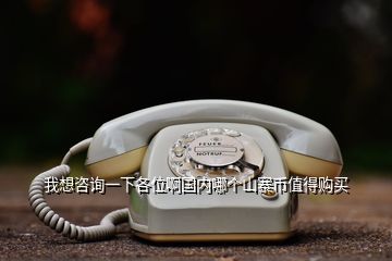 我想咨詢一下各位啊國內(nèi)哪個山寨幣值得購買