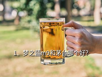1、夢之藍m9和茅臺哪個好？