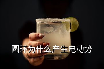 圓環為什么產生電動勢