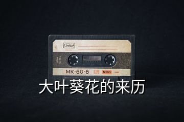 大葉葵花的來歷