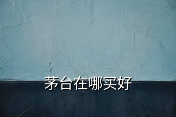 茅臺(tái)在哪買好