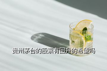 貴州茅臺的股票有回升的希望嗎