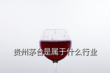 貴州茅臺是屬于什么行業