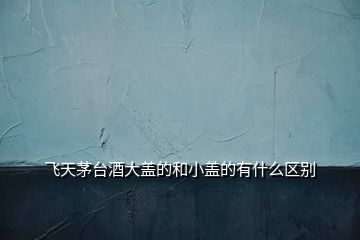 飛天茅臺酒大蓋的和小蓋的有什么區別