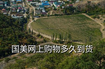 國美網上購物多久到貨