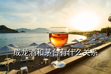 成龍酒和茅臺(tái)有什么關(guān)系