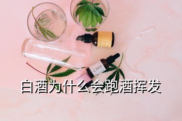 白酒為什么會跑酒揮發