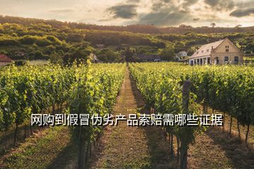 網購到假冒偽劣產品索賠需哪些證據
