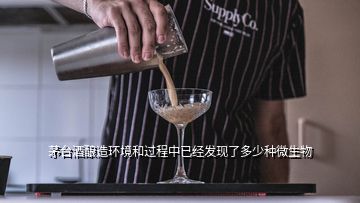 茅臺酒釀造環(huán)境和過程中已經發(fā)現了多少種微生物