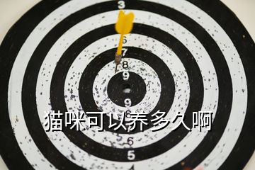 貓咪可以養多久啊