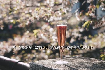 如一個股票的市盈率比行業其它高而市凈率卻很低說明什么
