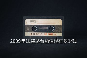 2009年1L裝茅臺酒值現在多少錢