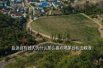 鹽源縣有錢人為什么那么喜歡喝茅臺和五糧液