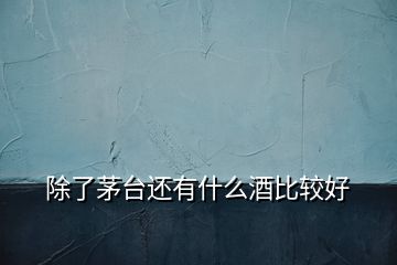 除了茅臺(tái)還有什么酒比較好