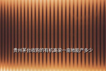 貴州茅臺收購的有機高梁一畝地能產多少