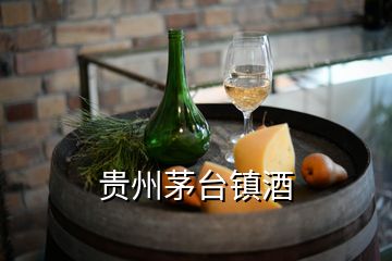 貴州茅臺鎮酒