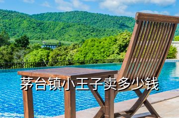 茅臺鎮小王子賣多少錢