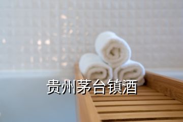 貴州茅臺鎮酒