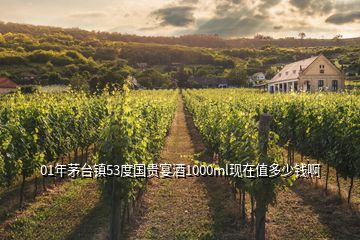 01年茅臺鎮53度國貴宴酒1000ml現在值多少錢啊