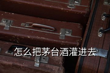 怎么把茅臺酒灌進去