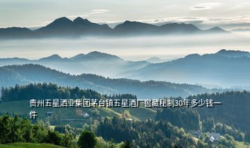貴州五星灑業集團茅臺鎮五星酒廠窖藏秘制30年多少錢一件