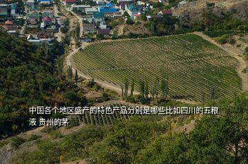 中國各個地區盛產的特色產品分別是哪些比如四川的五糧液 貴州的茅
