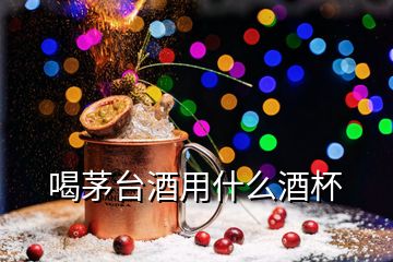 喝茅臺(tái)酒用什么酒杯