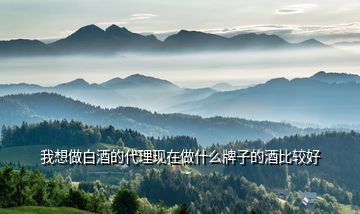 我想做白酒的代理現在做什么牌子的酒比較好